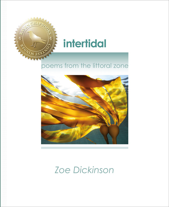intertidal: poems from the littoral zone by Zoe Dickinson